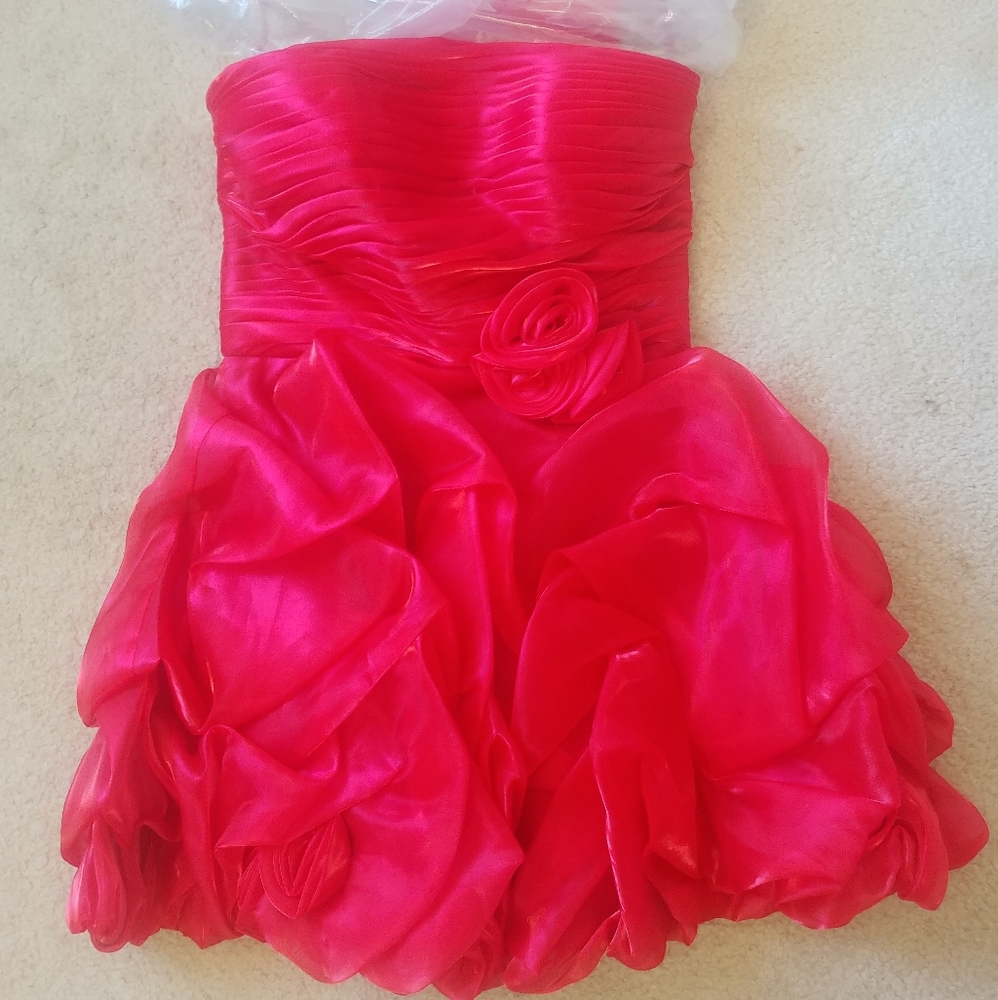 Strapless Dress w/ Shall